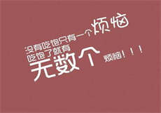 我的爱情公寓女友一菲

